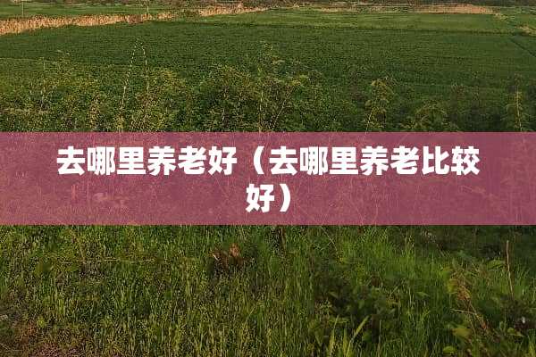 去哪里养老好（去哪里养老比较好）