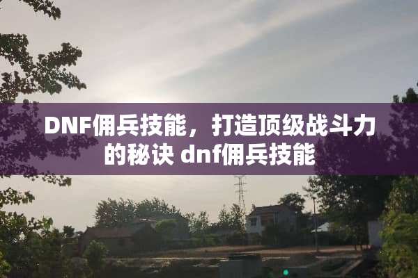 DNF佣兵技能，打造**战斗力的秘诀 dnf佣兵技能