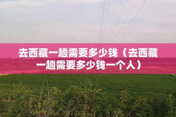 去西藏一趟需要多少钱（去西藏一趟需要多少钱一个人）