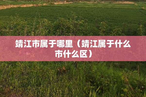靖江市属于哪里（靖江属于什么市什么区）