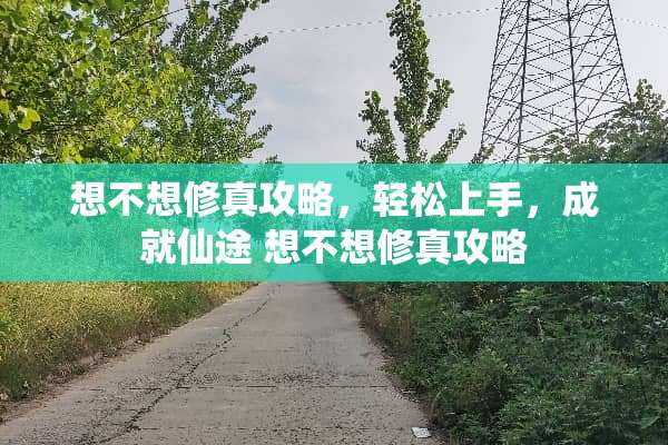 想不想修真攻略，轻松上手，成就仙途 想不想修真攻略