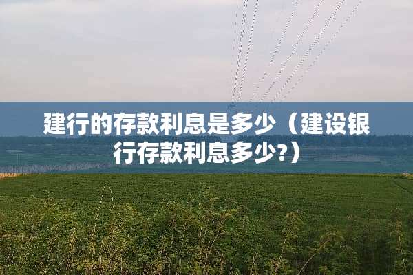 建行的存款利息是多少（建设银行存款利息多少?）