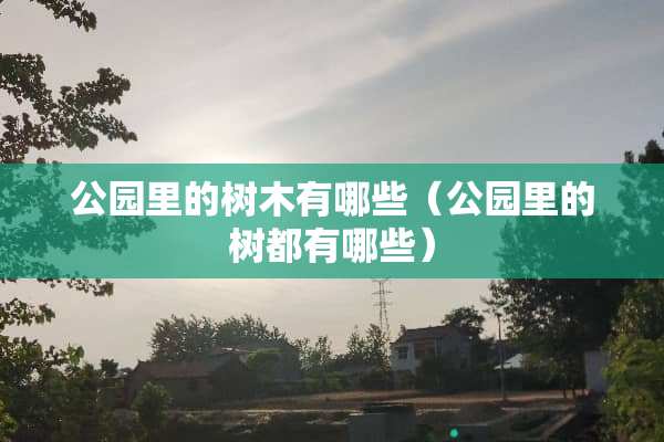 公园里的树木有哪些（公园里的树都有哪些）