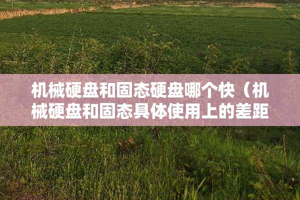 机械硬盘和固态硬盘哪个快（机械硬盘和固态具体使用上的差距）