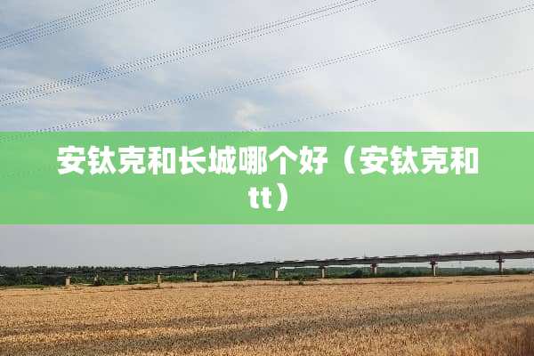 安钛克和长城哪个好（安钛克和tt）