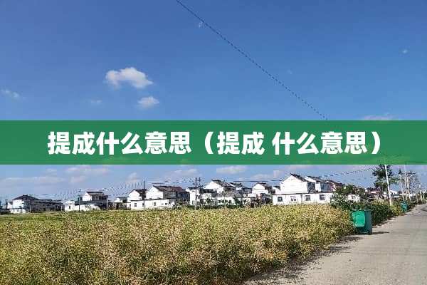 提成什么意思（提成 什么意思）