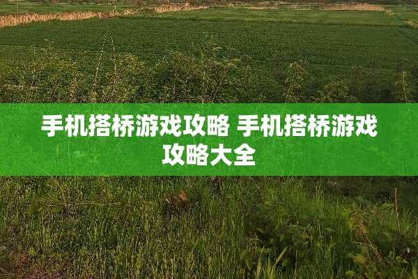 手机搭桥游戏攻略 手机搭桥游戏攻略大全