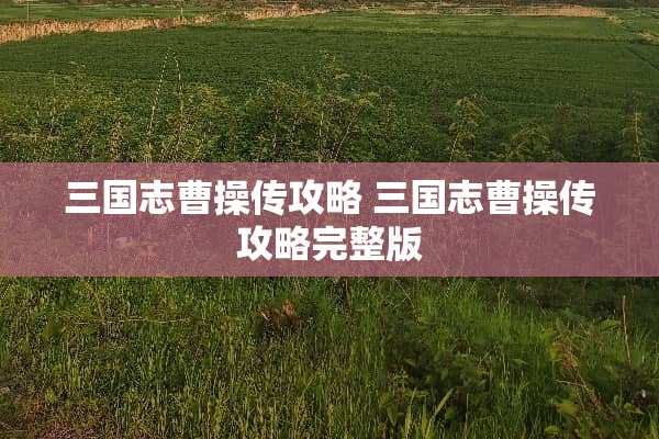 三国志曹操传攻略 三国志曹操传攻略完整版