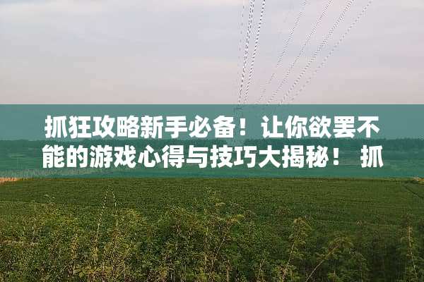 抓狂攻略新手必备！让你欲罢不能的游戏心得与技巧大揭秘！ 抓狂游戏的攻略