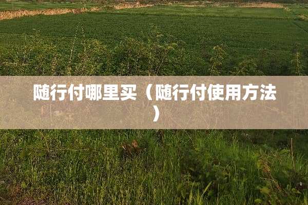随行付哪里买(随行付使用方法) 随行付哪里买(随行付使用方法)
