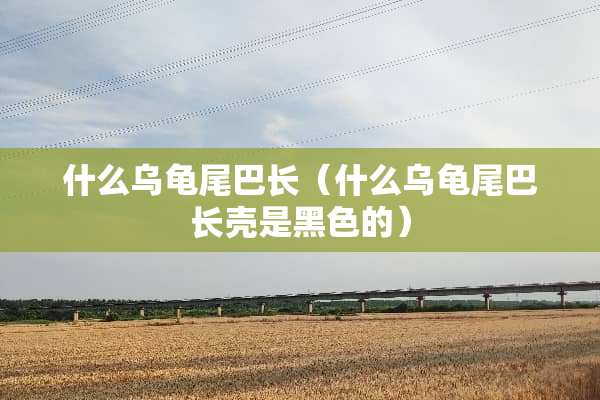 什么乌龟尾巴长（什么乌龟尾巴长壳是黑色的）