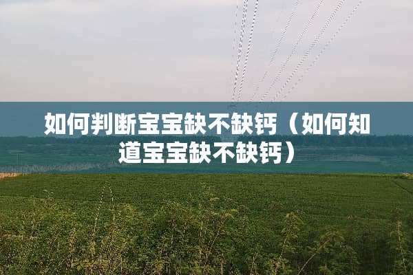 如何判断宝宝缺不缺钙（如何知道宝宝缺不缺钙）