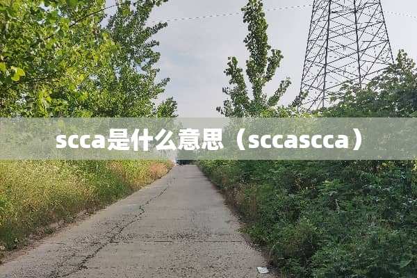 scca是什么意思（sccascca）