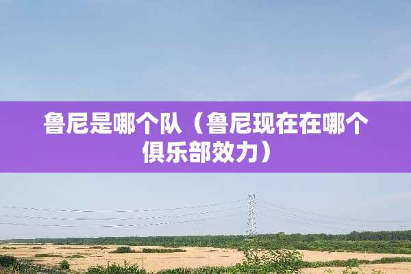 鲁尼是哪个队(鲁尼现在在哪个俱乐部效力) 鲁尼是哪个队(鲁尼现在在哪个俱乐部效力)