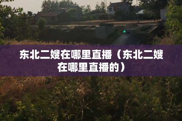 东北二嫂在哪里直播(东北二嫂在哪里直播的) 东北二嫂在哪里直播(东北二嫂在哪里直播的)