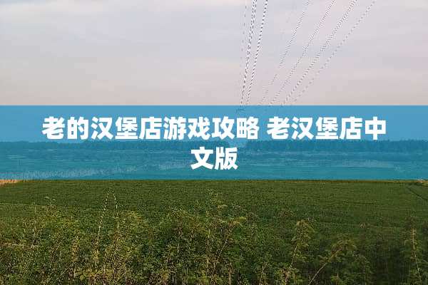 老的汉堡店游戏攻略 老汉堡店中文版