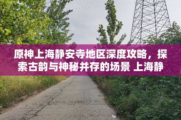 原神上海静安寺地区深度攻略，探索古韵与神秘并存的场景 上海静安寺攻略游戏