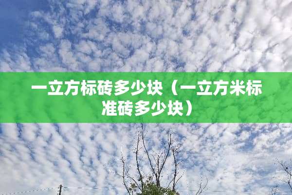 一立方标砖多少块（一立方米标准砖多少块）