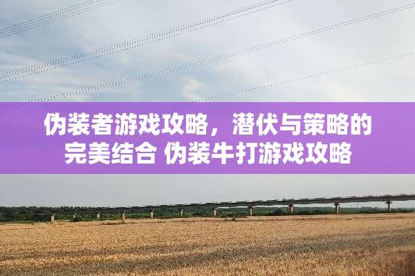 伪装者游戏攻略，潜伏与策略的完美结合 伪装牛打游戏攻略