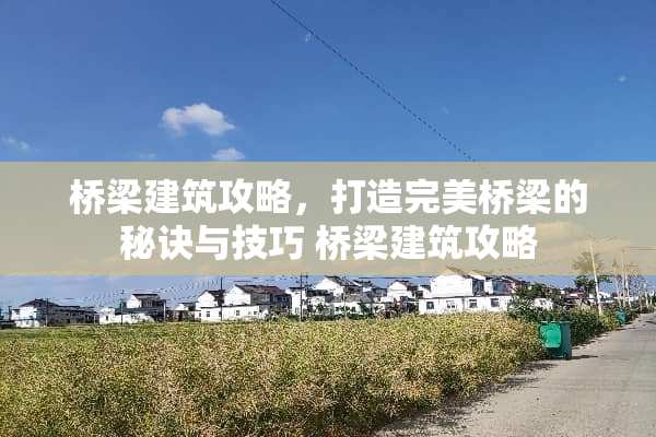 桥梁建筑攻略，打造完美桥梁的秘诀与技巧 桥梁建筑攻略
