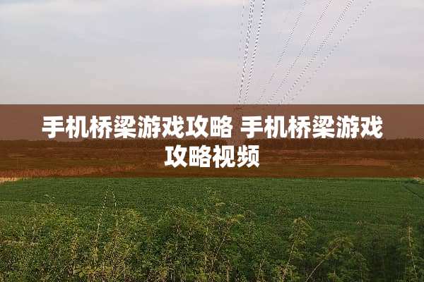 手机桥梁游戏攻略 手机桥梁游戏攻略视频