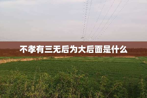 不孝有三无后为大后面是什么