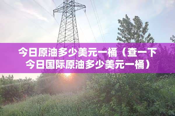 今日原油多少美元一桶（查一下今日国际原油多少美元一桶）