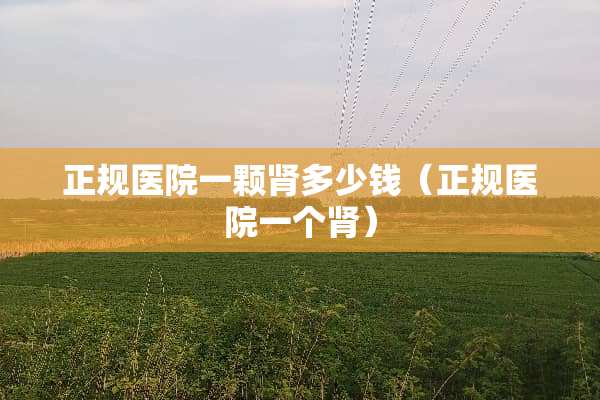 正规医院一颗肾多少钱(正规医院一个肾) 正规医院一颗肾多少钱(正规医院一个肾)