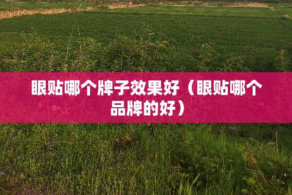 眼贴哪个牌子效果好（眼贴哪个品牌的好）