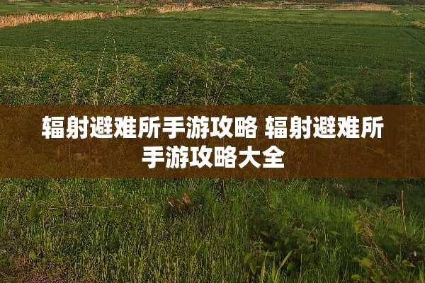 辐射避难所手游攻略 辐射避难所手游攻略大全