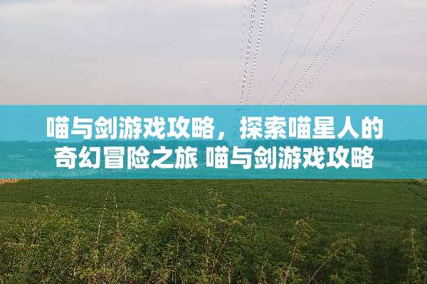 喵与剑游戏攻略，探索喵星人的奇幻冒险之旅 喵与剑游戏攻略