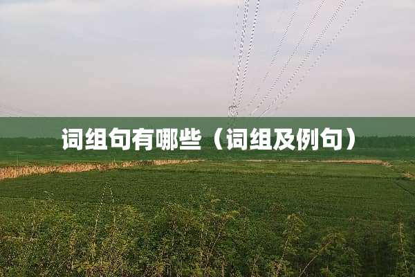 词组句有哪些（词组及例句）
