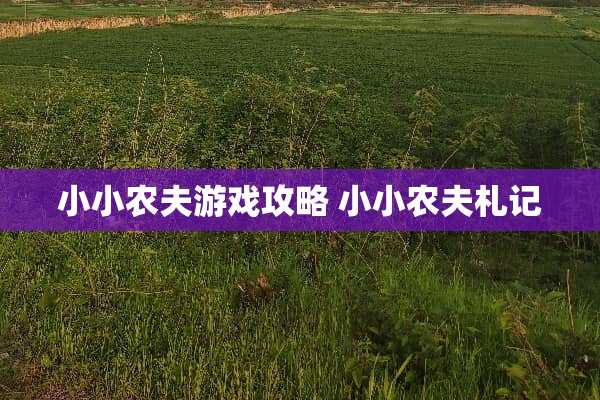 小小农夫游戏攻略 小小农夫札记