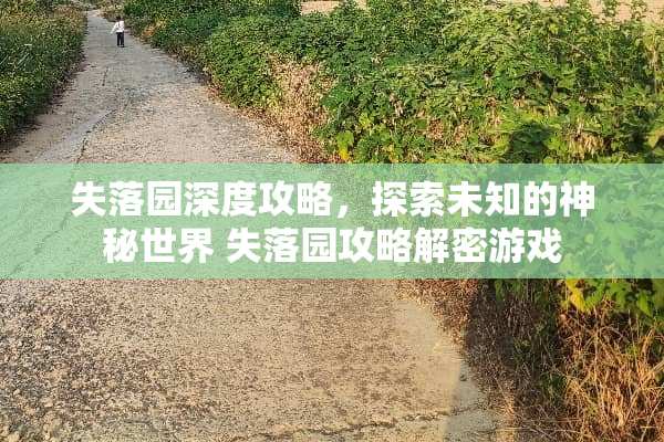 失落园深度攻略，探索未知的神秘世界 失落园攻略解密游戏