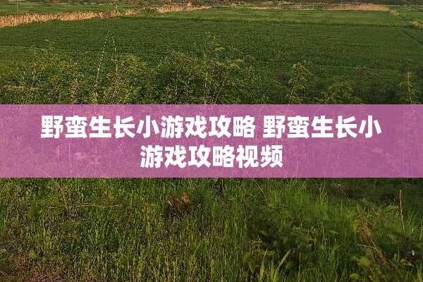 野蛮生长小游戏攻略 野蛮生长小游戏攻略视频