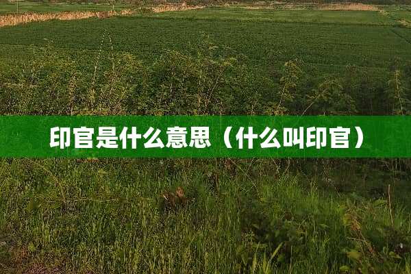 印官是什么意思(什么叫印官) 印官是什么意思(什么叫印官)