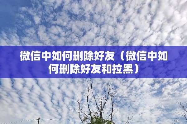 微信中如何删除好友（微信中如何删除好友和拉黑）
