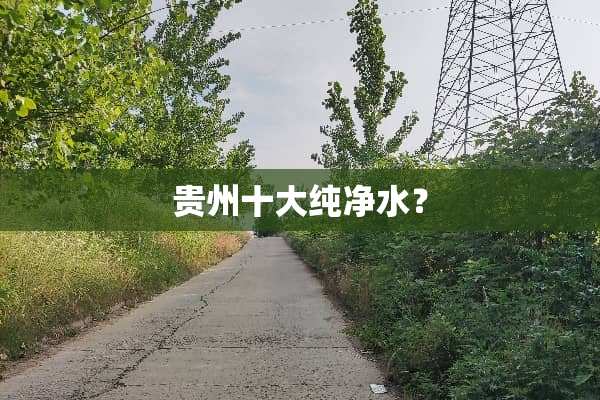 贵州十大纯净水？