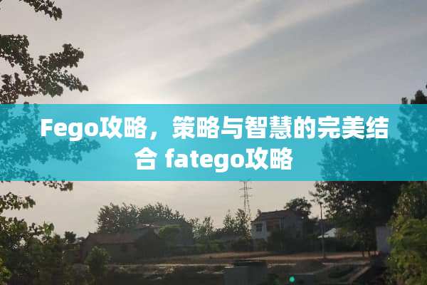 Fego攻略，策略与智慧的完美结合 fatego攻略