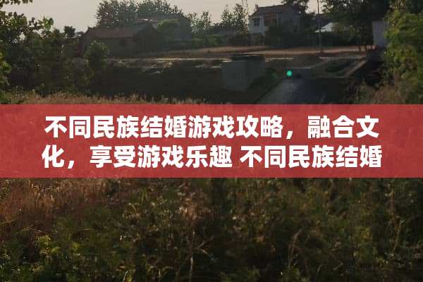 不同民族结婚游戏攻略，融合文化，享受游戏乐趣 不同民族结婚游戏攻略