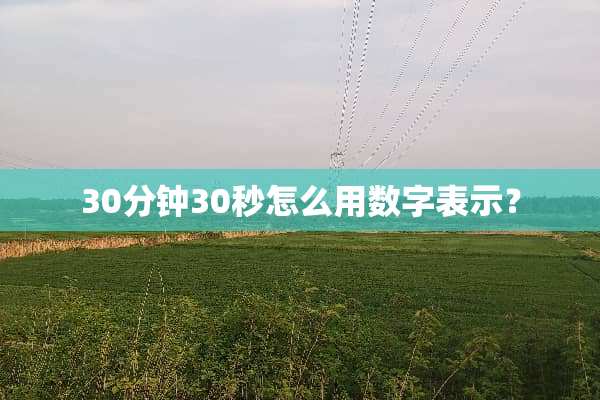 30分钟30秒怎么用数字表示？