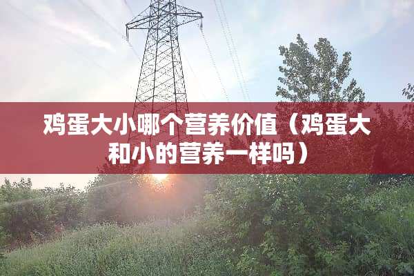 鸡蛋大小哪个营养价值（鸡蛋大和小的营养一样吗）