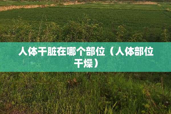 人体干脏在哪个部位（人体部位干燥）