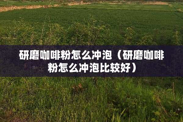 研磨咖啡粉怎么冲泡（研磨咖啡粉怎么冲泡比较好）