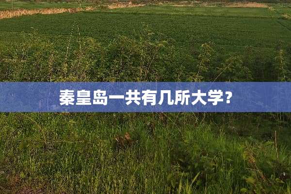 秦皇岛一共有几所大学？