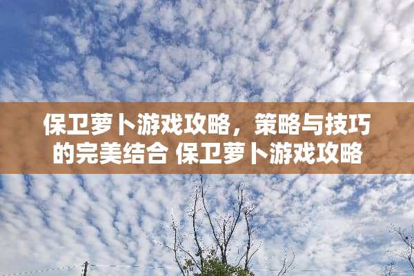 保卫萝卜游戏攻略，策略与技巧的完美结合 保卫萝卜游戏攻略