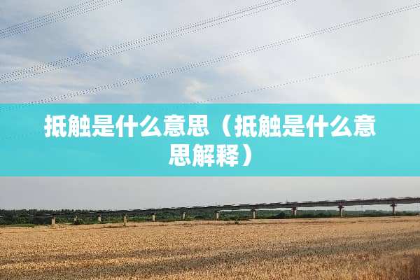 抵触是什么意思（抵触是什么意思解释）