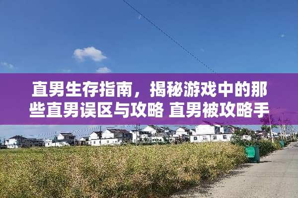 直男生存指南，揭秘游戏中的那些直男误区与攻略 直男被攻略手册