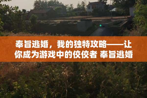 奉旨**，我的独特攻略——让你成为游戏中的佼佼者 奉旨**游戏攻略