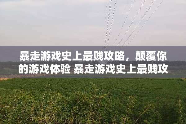 暴走游戏史上最贱攻略，颠覆你的游戏体验 暴走游戏史上最贱攻略